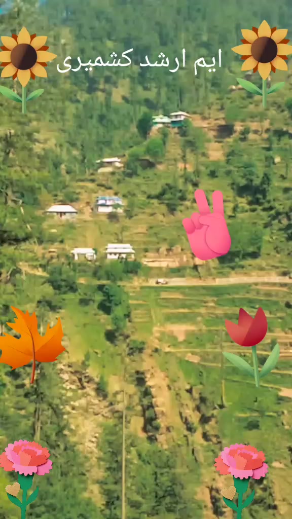 @M,Arshad kashmiri