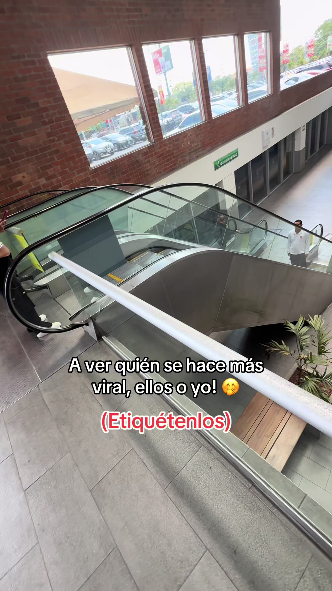 @Marco Ortiz🧸