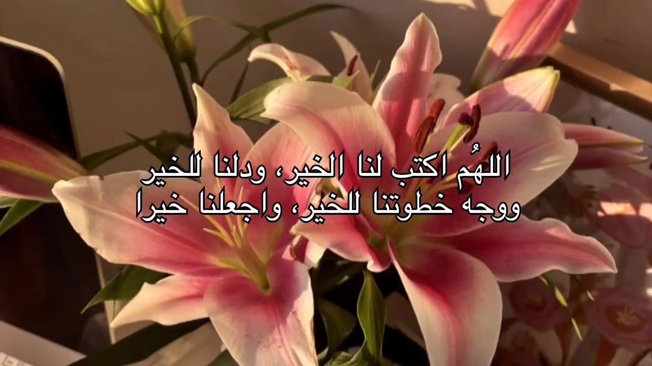 @عبدالله الزهراني 🇸🇦