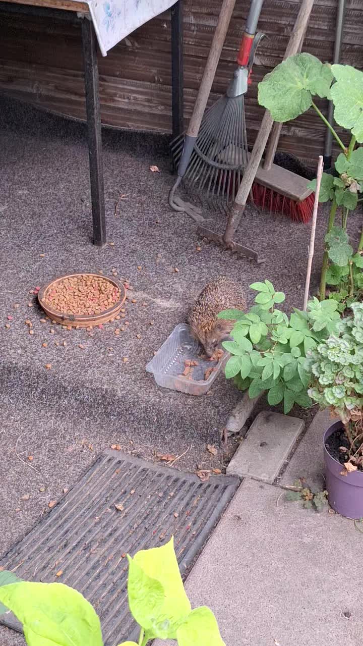 @Natur und Garten
