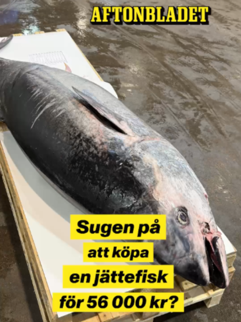 @Aftonbladet