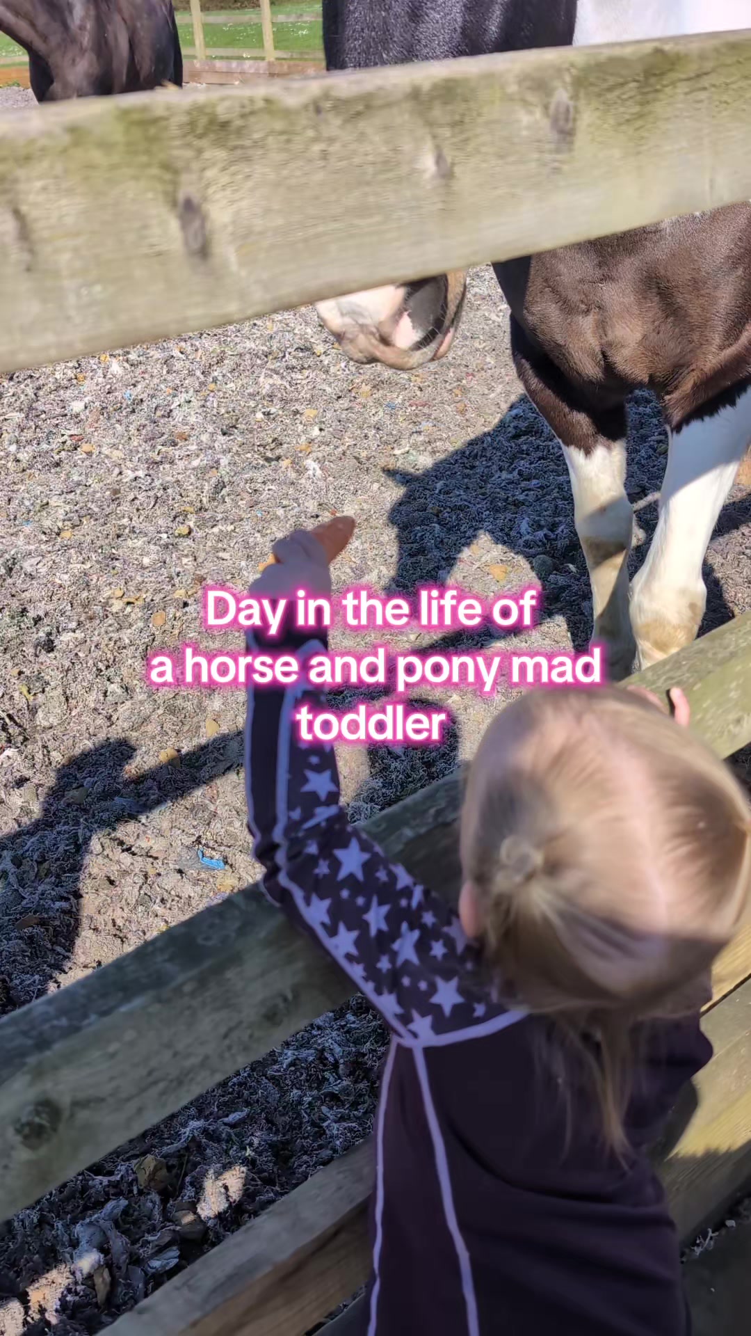 @The.Unstable.Stables