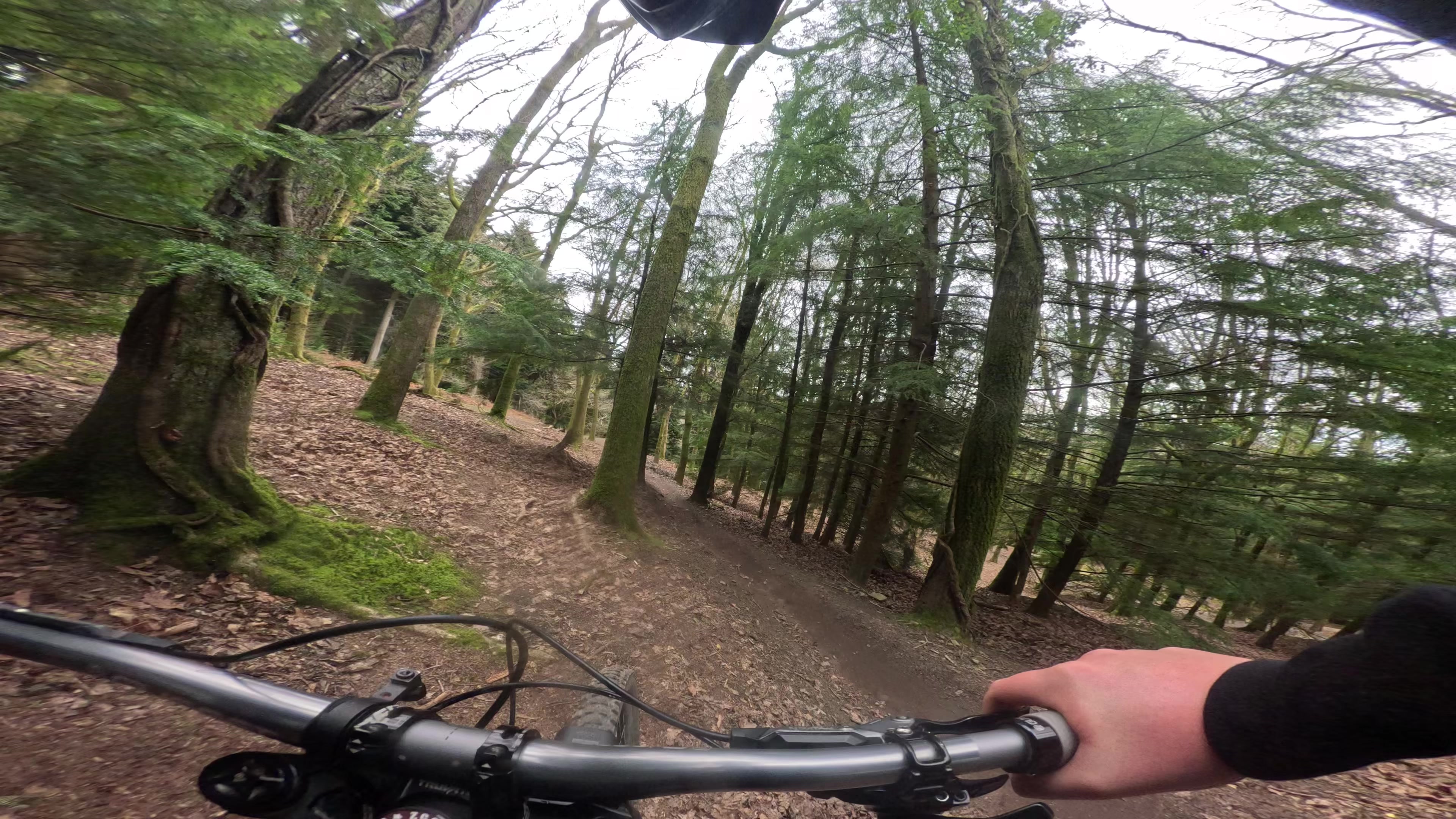 @Cass.Mtb