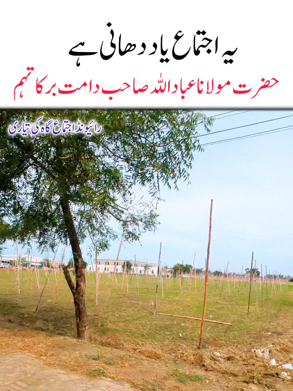 @Salman Ummati®
