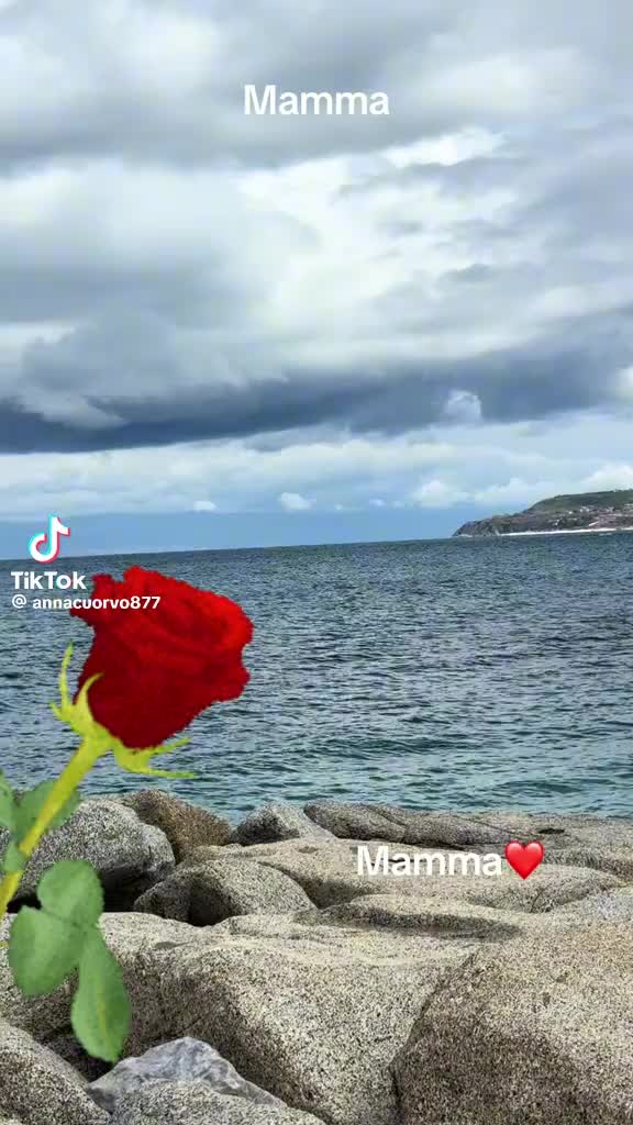 @Rosa Cozzolino