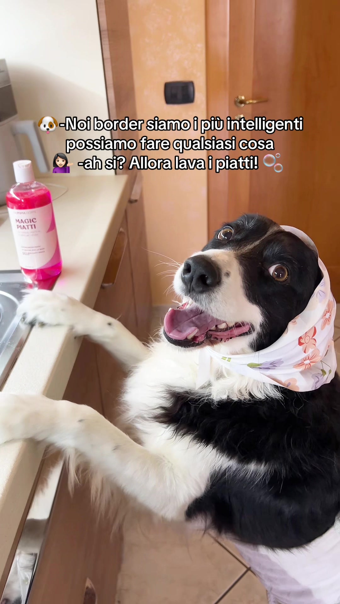@𝓖𝓻𝓪𝓩𝓸𝓮 🫧