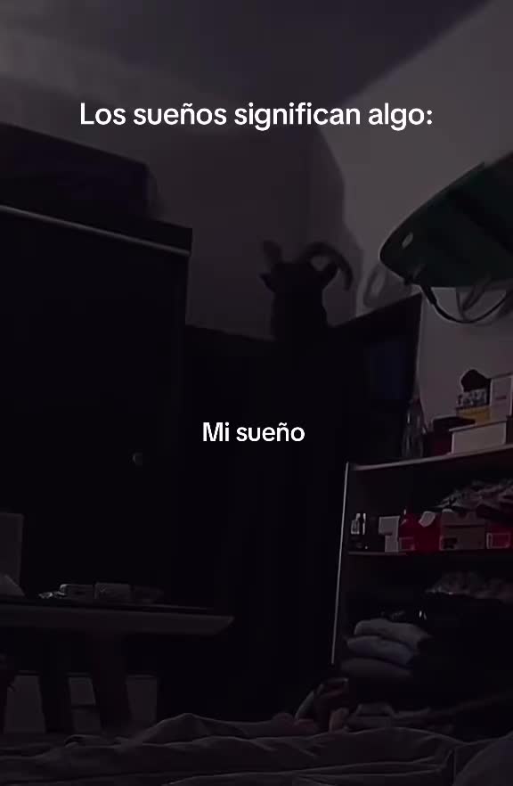 @Kashito 🤴🏽