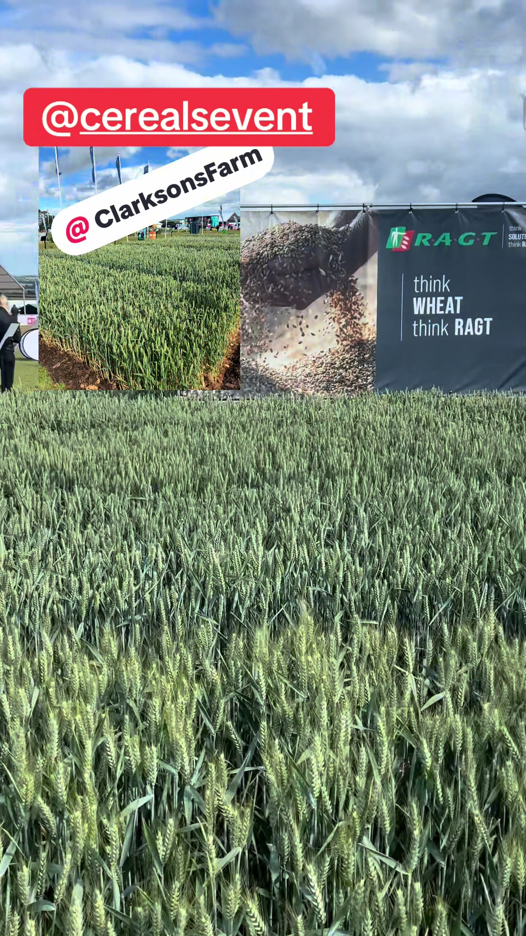 @Let’s farm Ireland