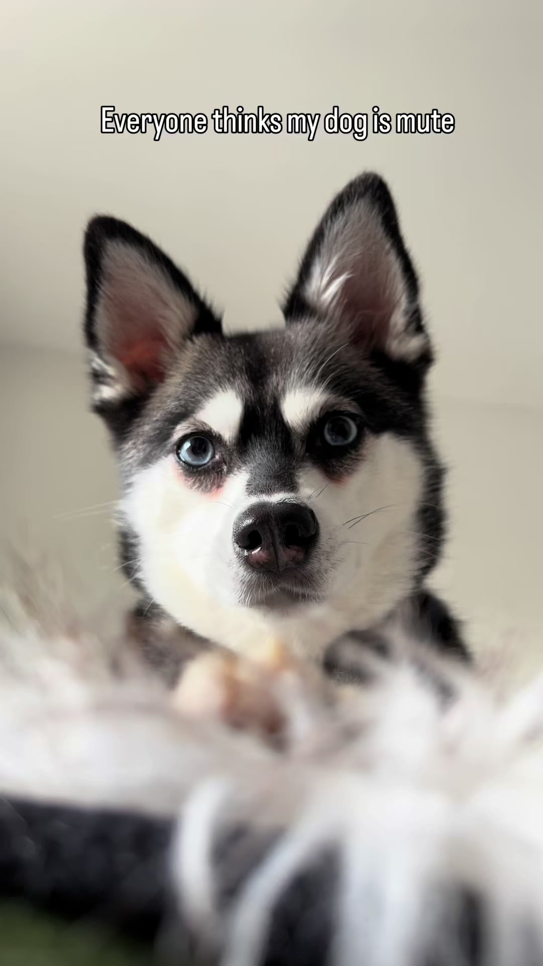 @lifewithkleekai