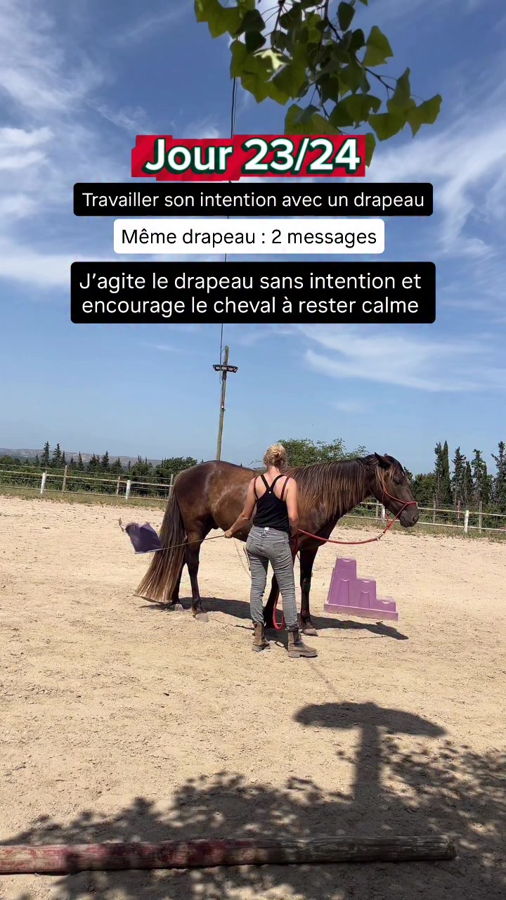 @LA PANTA Horse Ethic Ranch