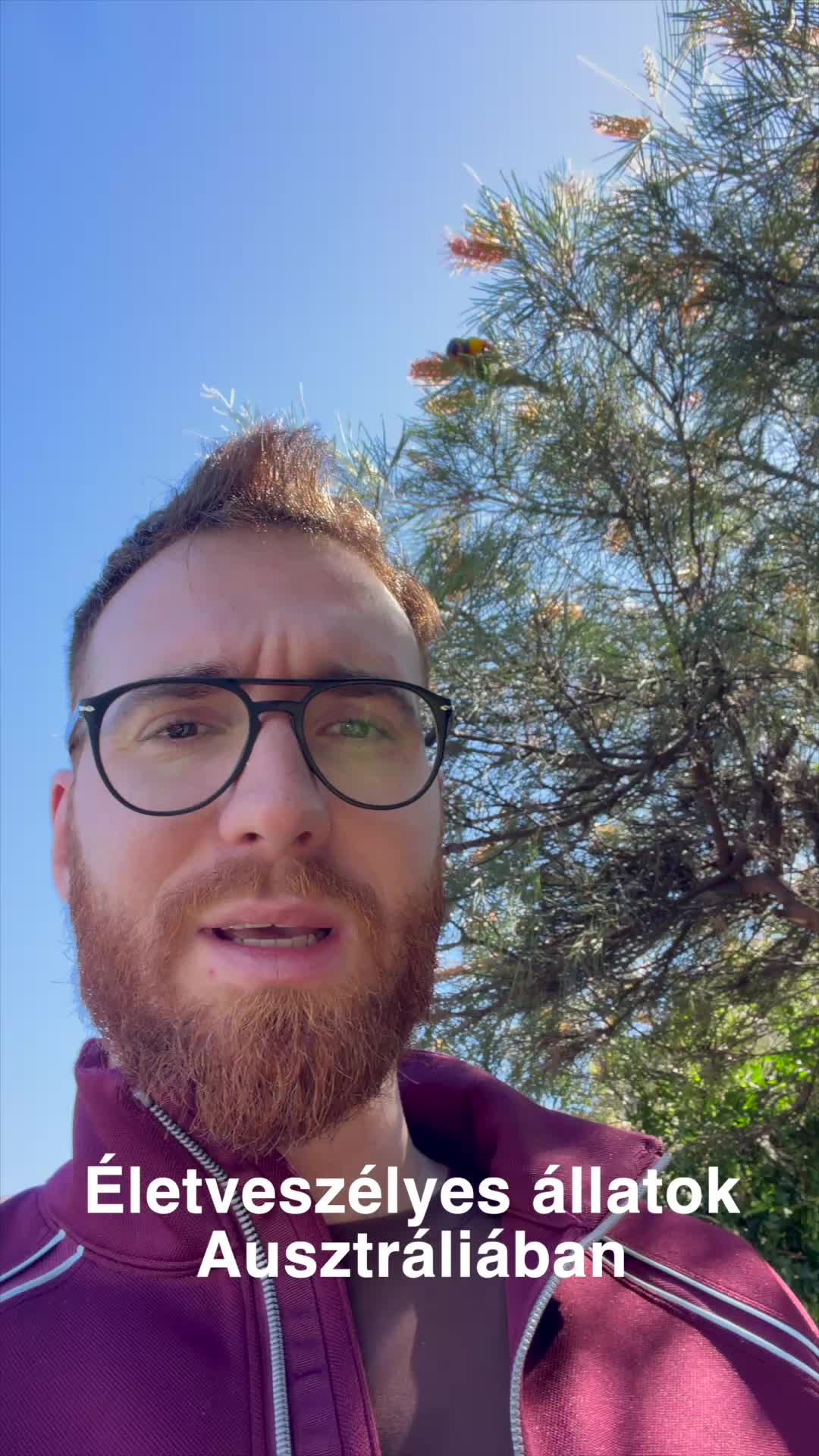 @Leopold | Australia 🇦🇺🐨🦘