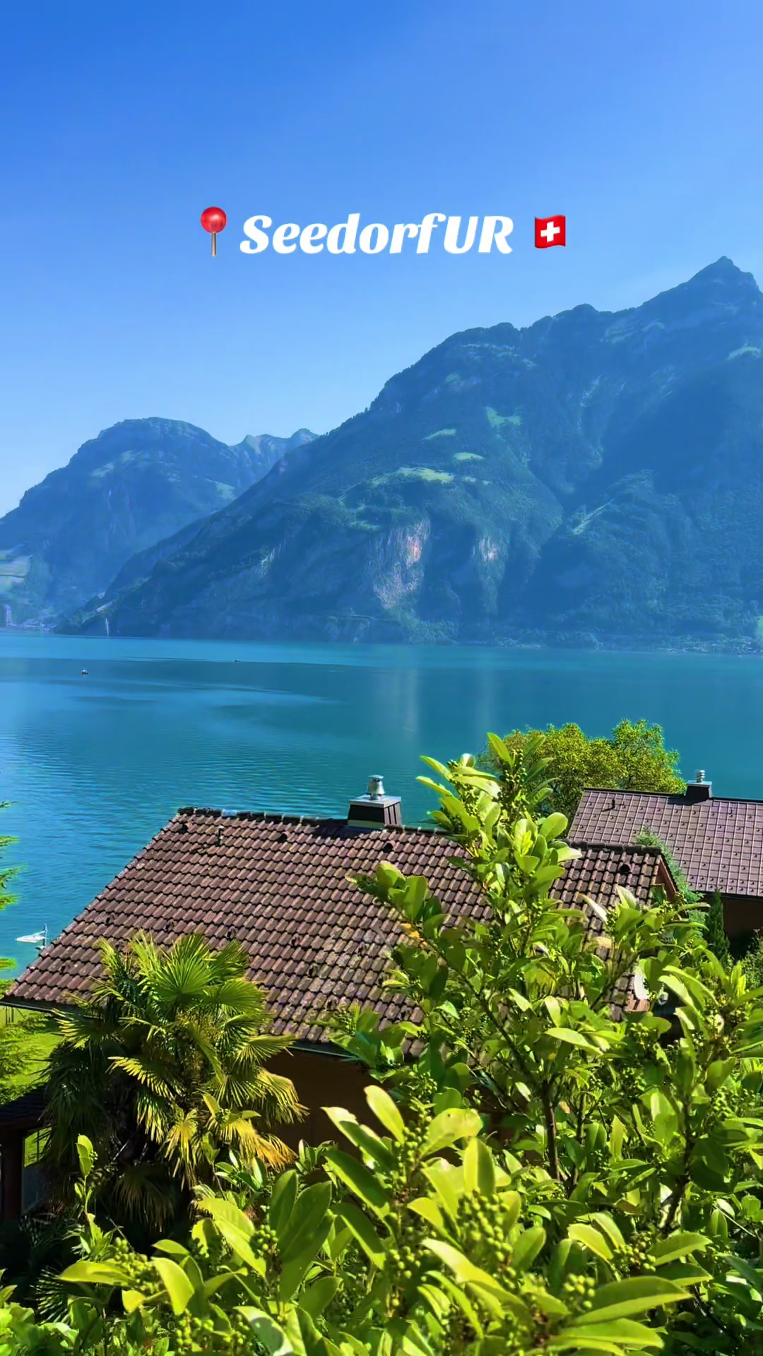 @swiss_alps