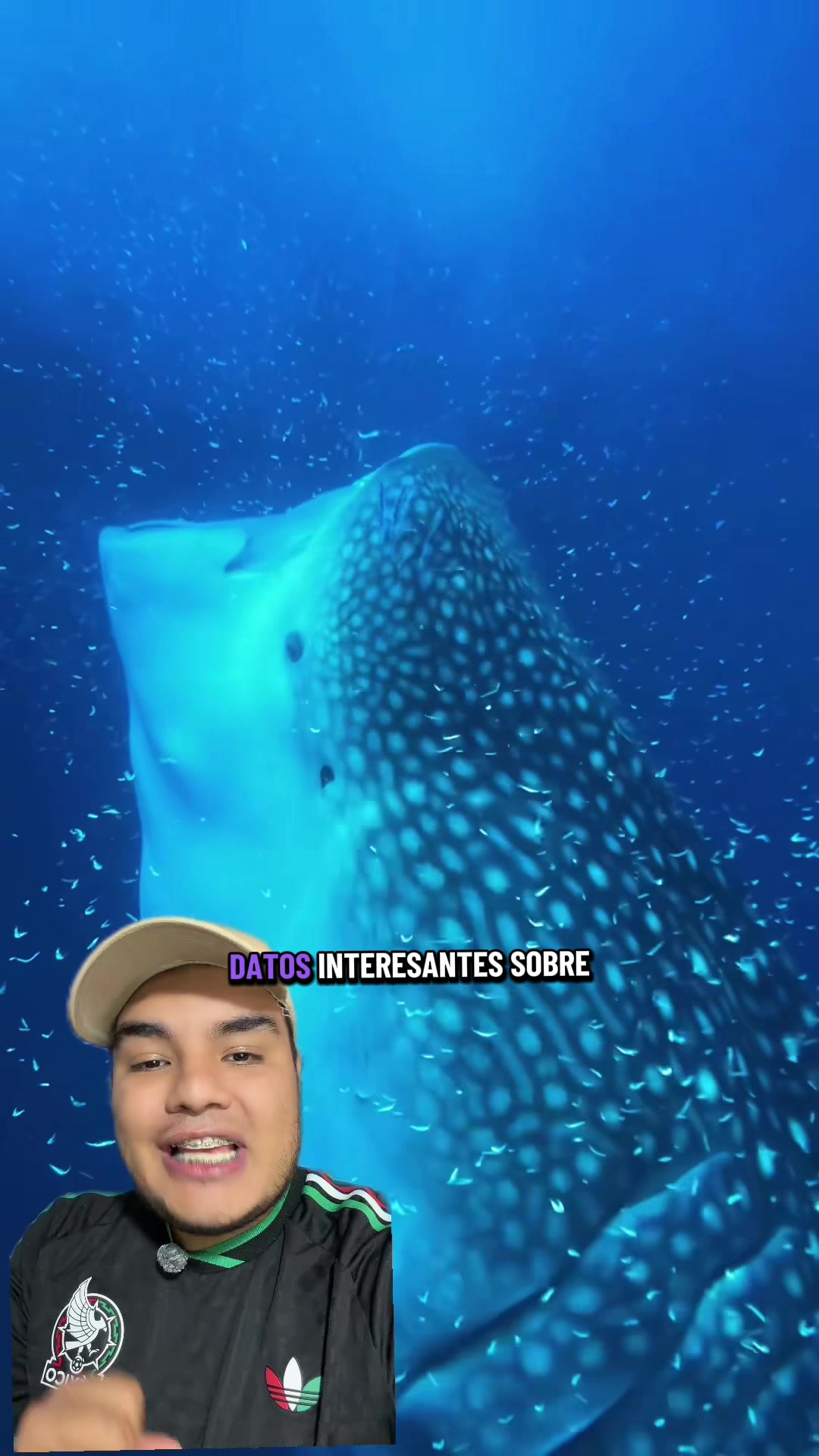@Jair Herrera 🐆