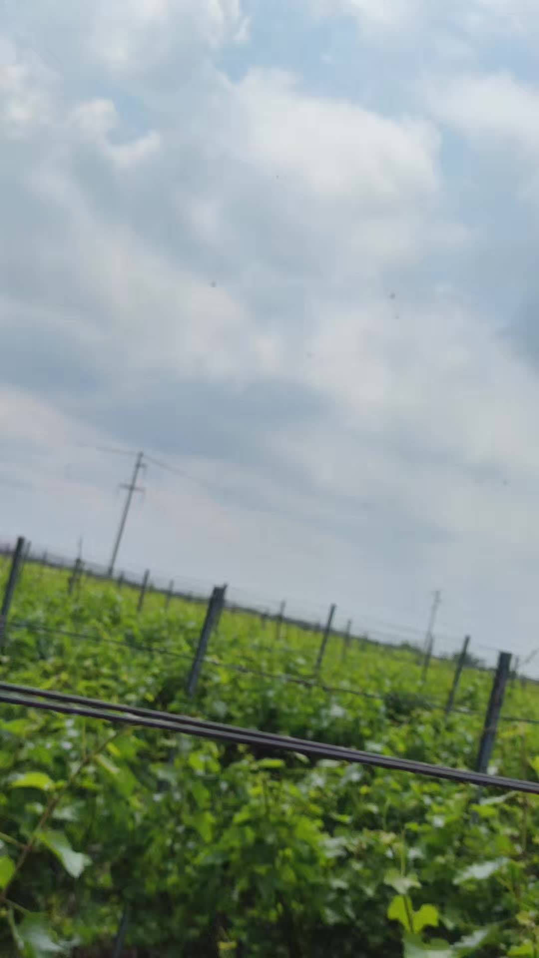 @ALEXANDRU 🇹🇷