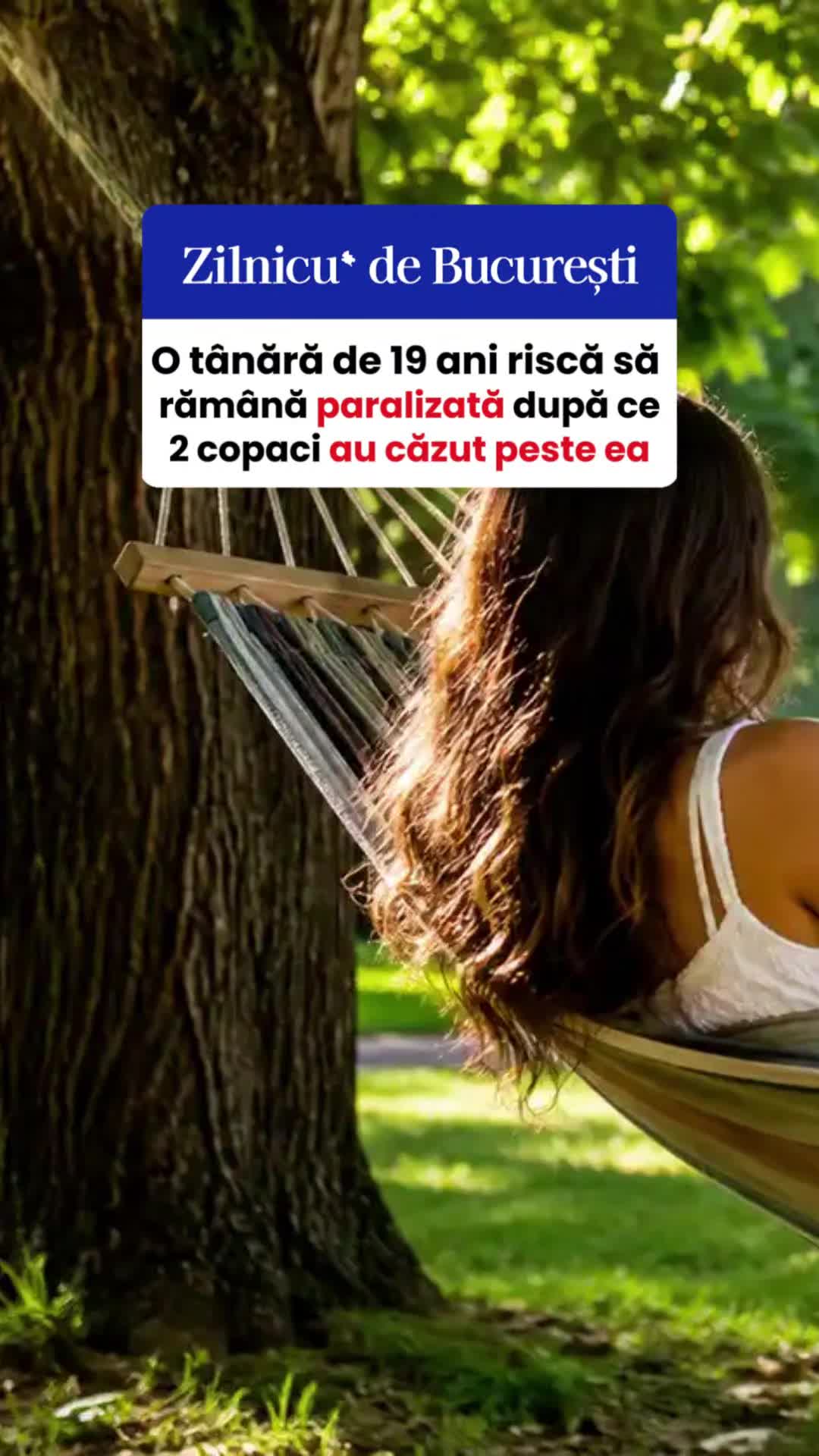 @Zilnicu' de București