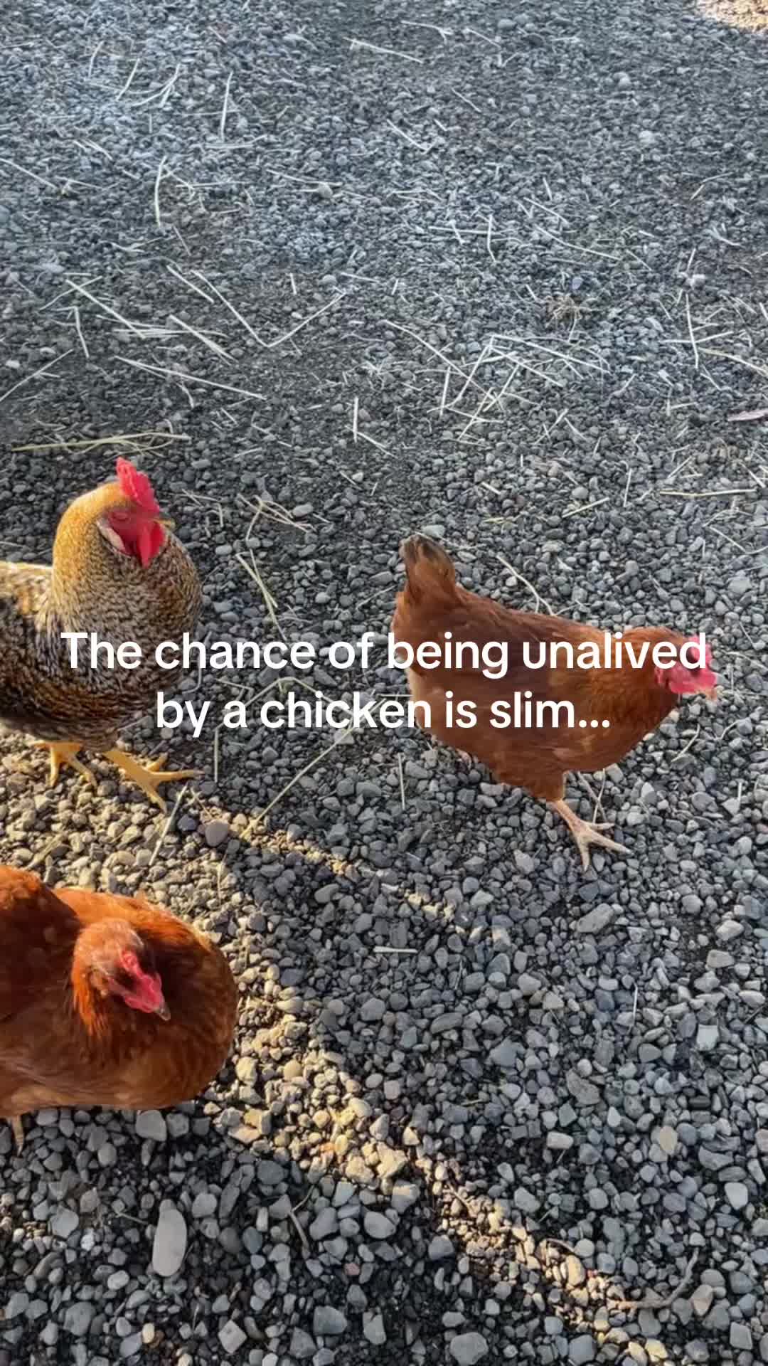 @𝙎𝙞𝙣𝙥𝙮𝙧𝙚