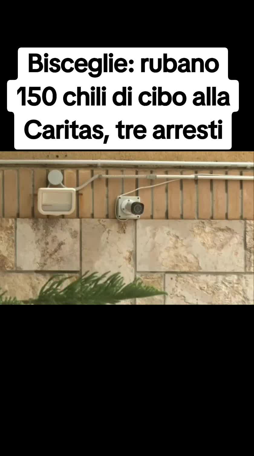 @squadra mobile