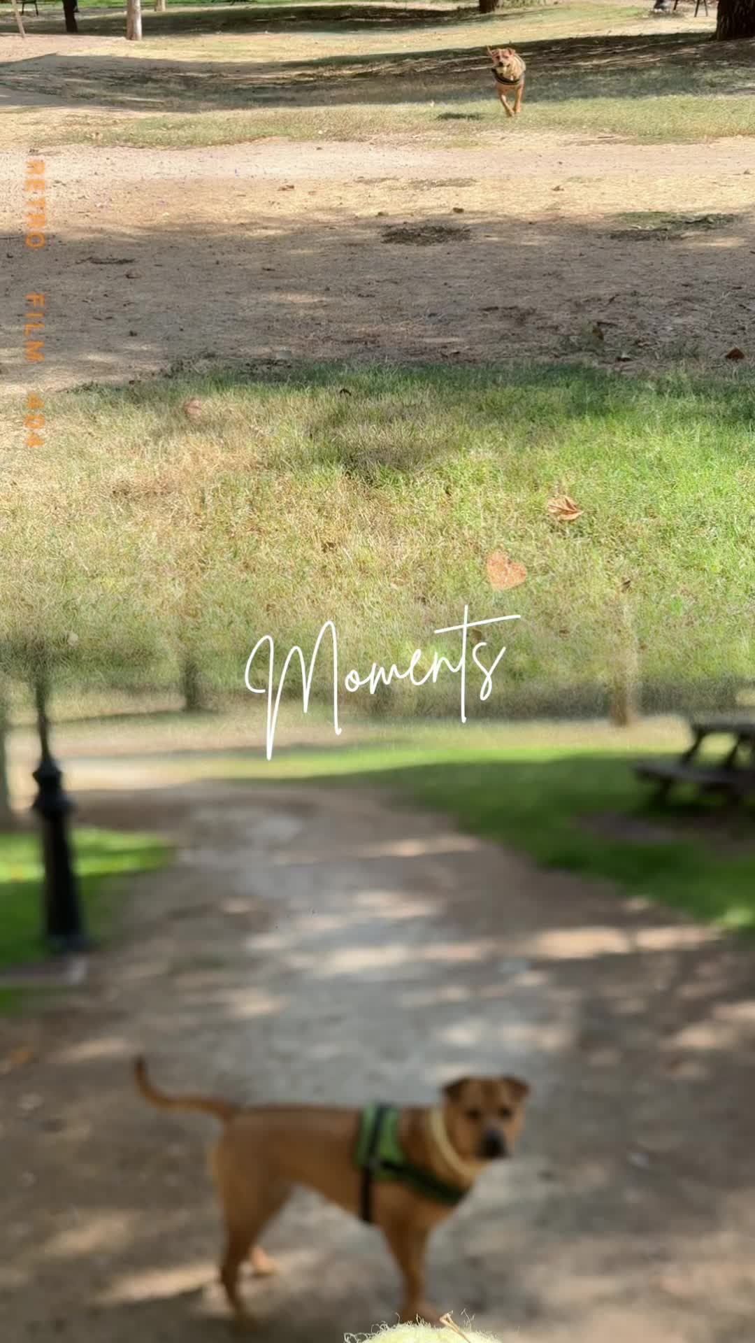 @Liber💋🥰