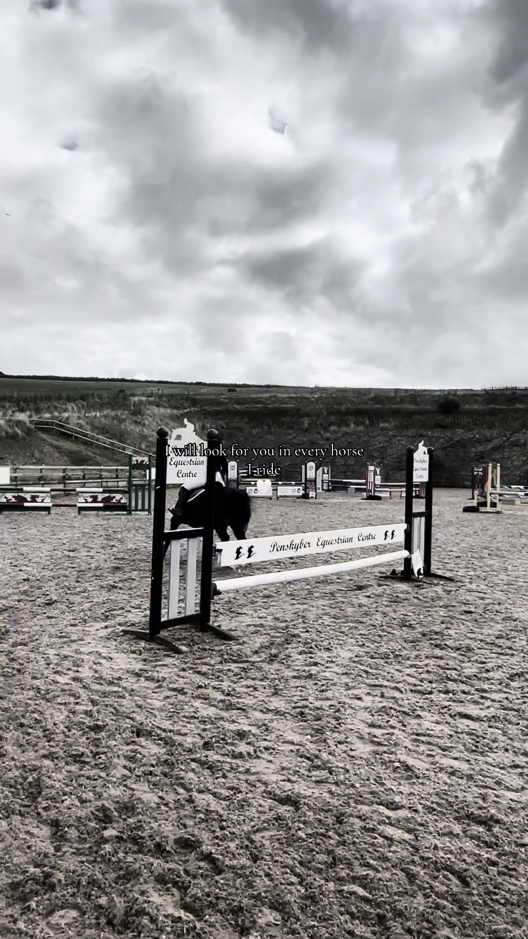@amelia_showjumping2