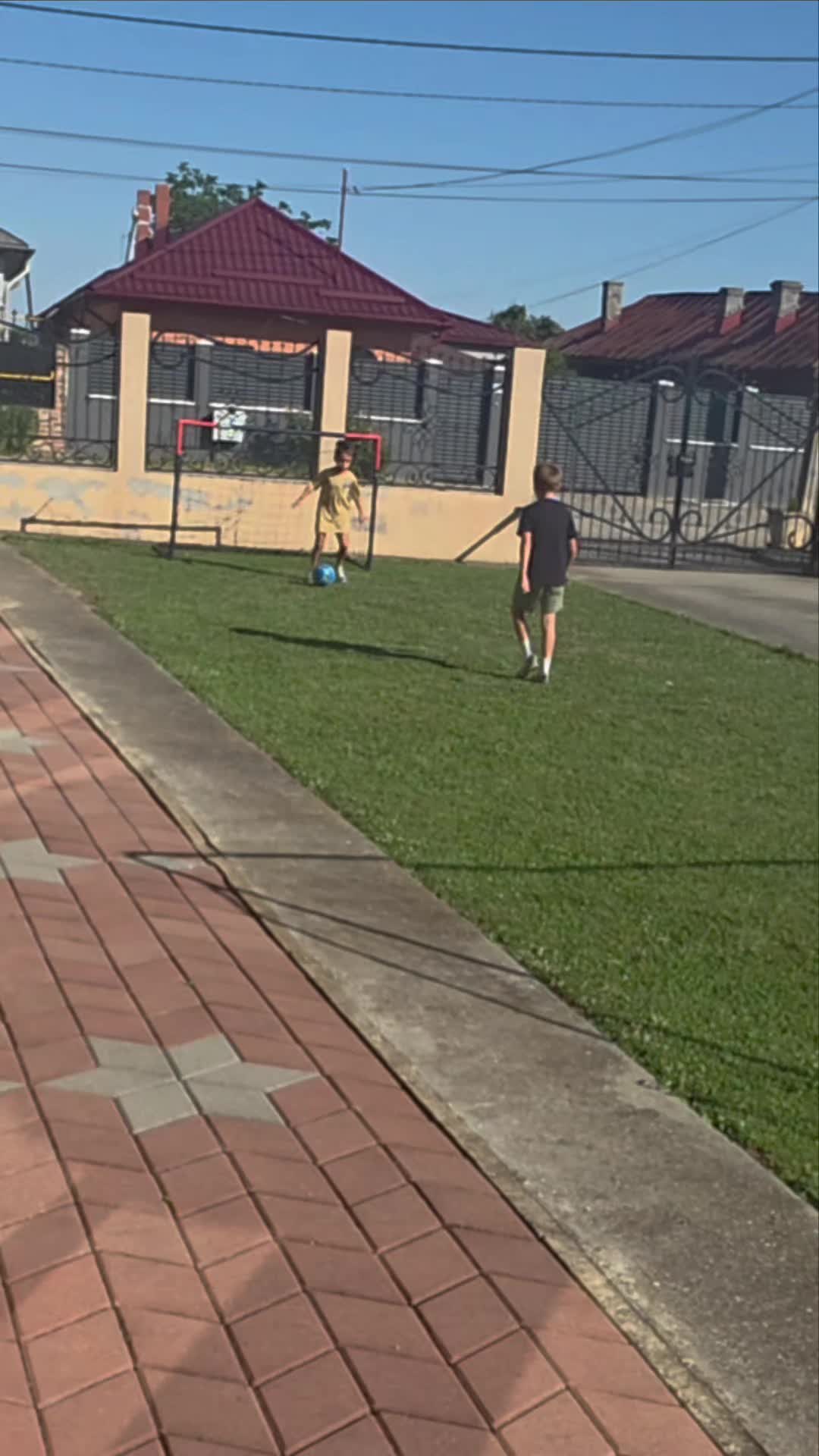 @Zian Leuţul Sudului
