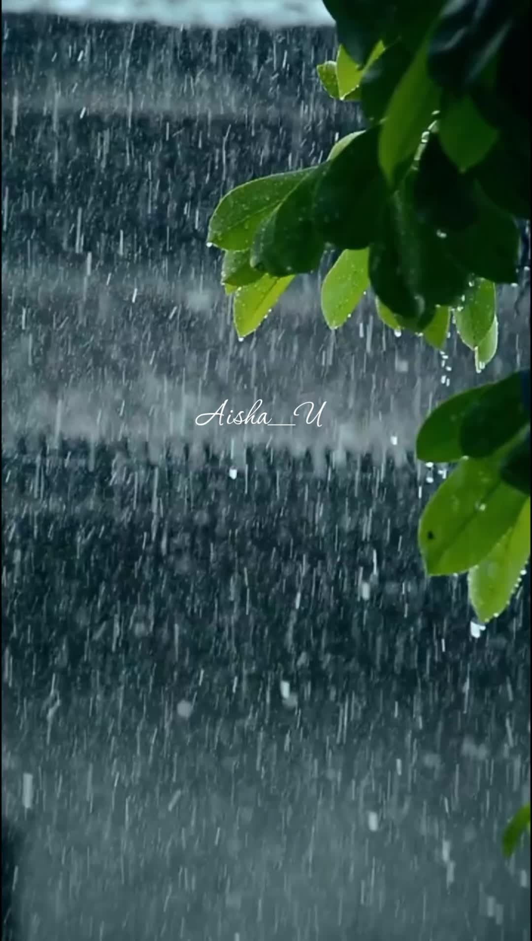 @Aisha_U