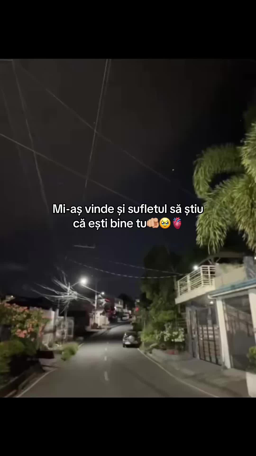 @❤️🩹Melodii&Citate❤️🩹