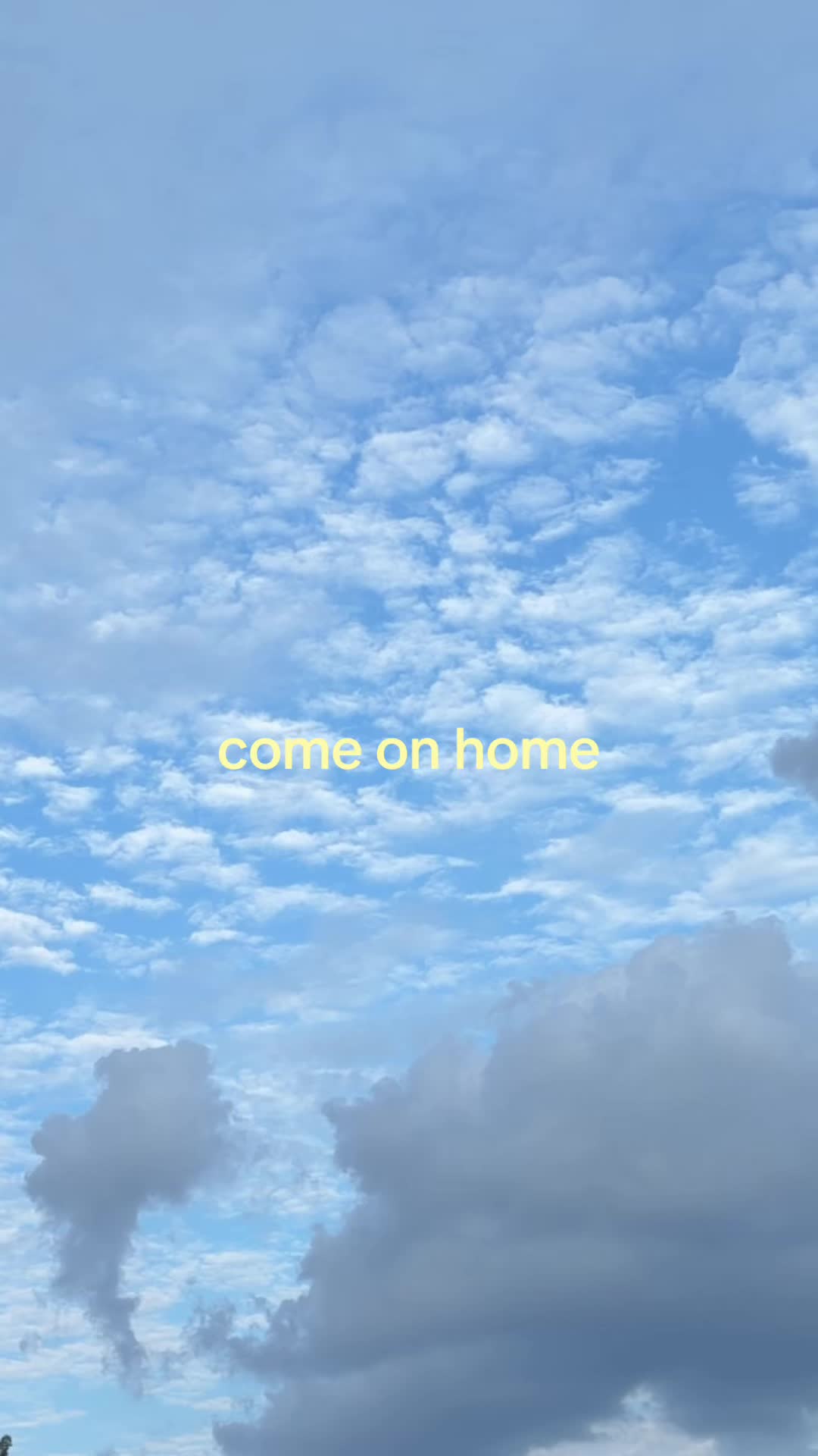 @⋆⭒˚.⋆ ⋆⭒˚.⋆ ⋆⭒˚.⋆