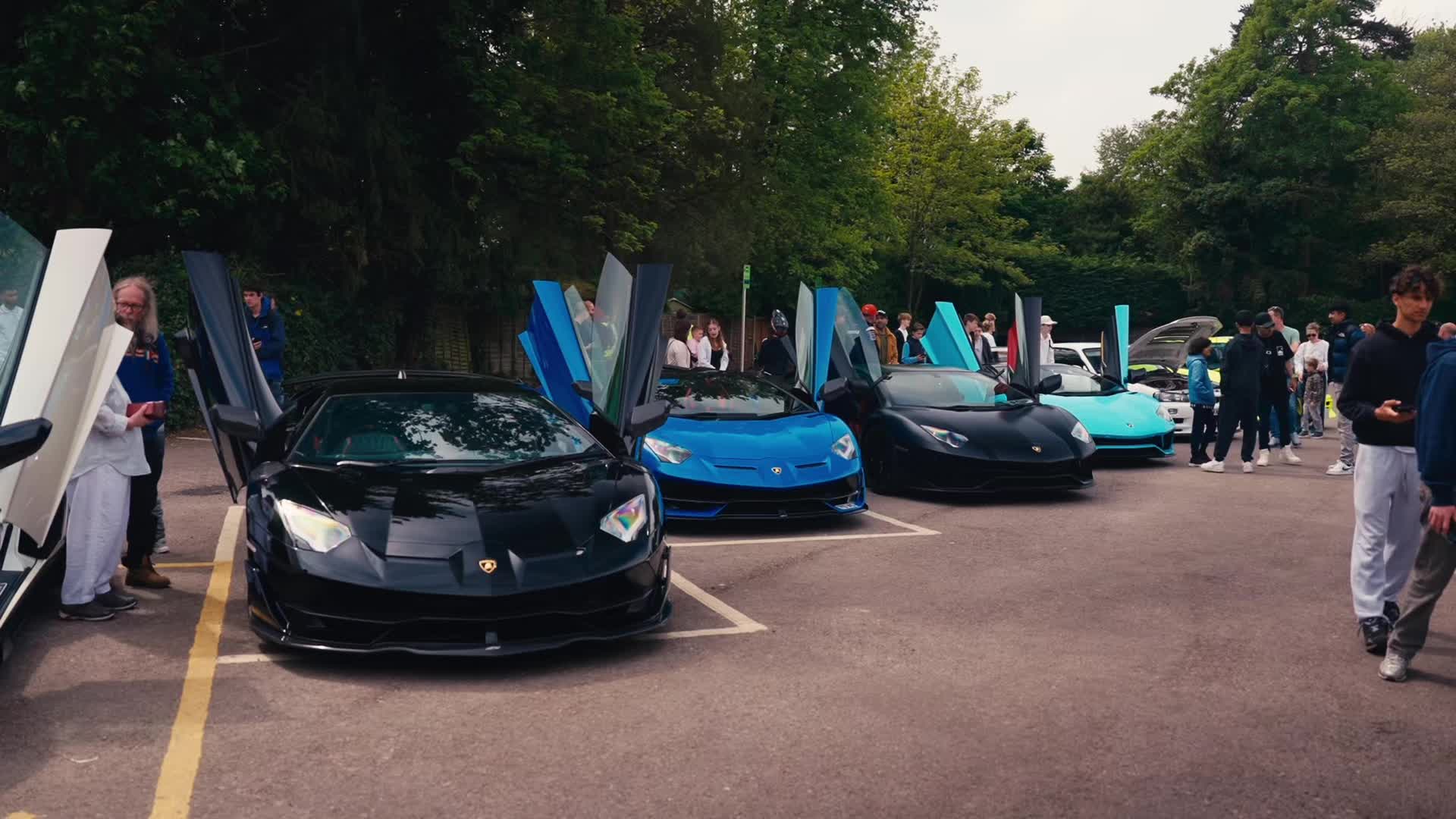 @manzr34_gtr