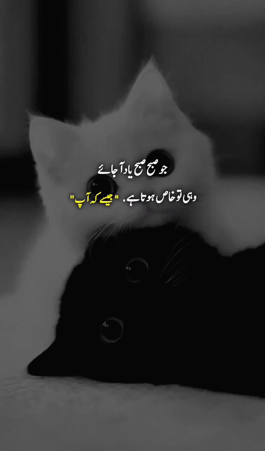 @❥𝐁є 𝐒ʰʳaᵐ𝐌 ᥫ᭡፝֟፝֟
