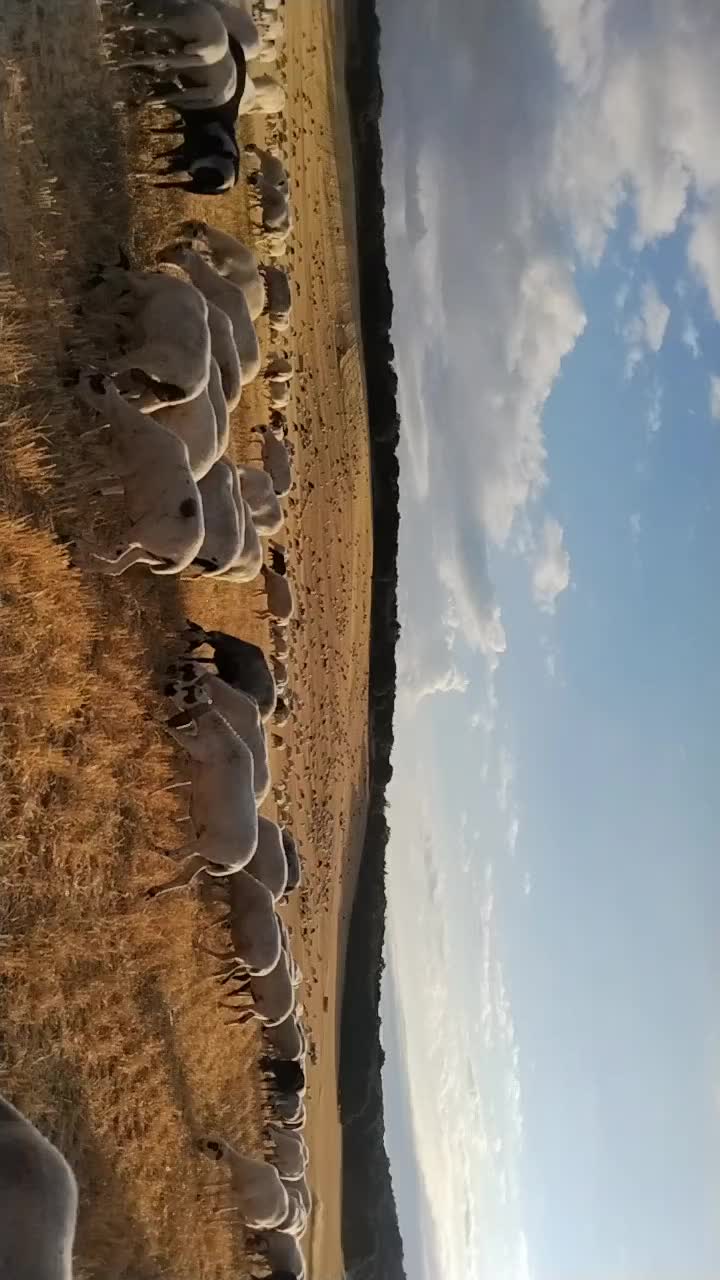 @Iv&aacute;n.