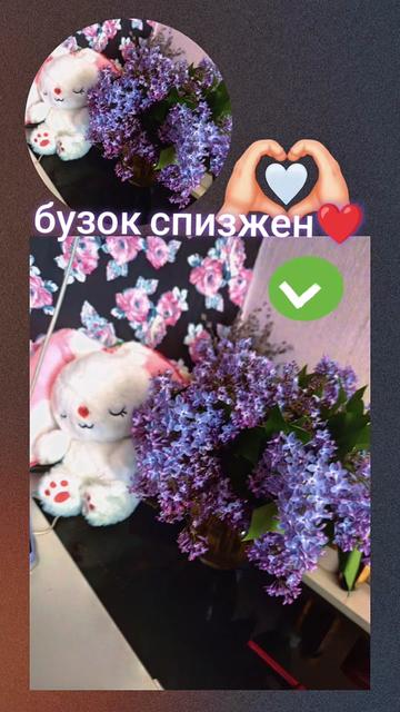 @😈Кукуховна😈