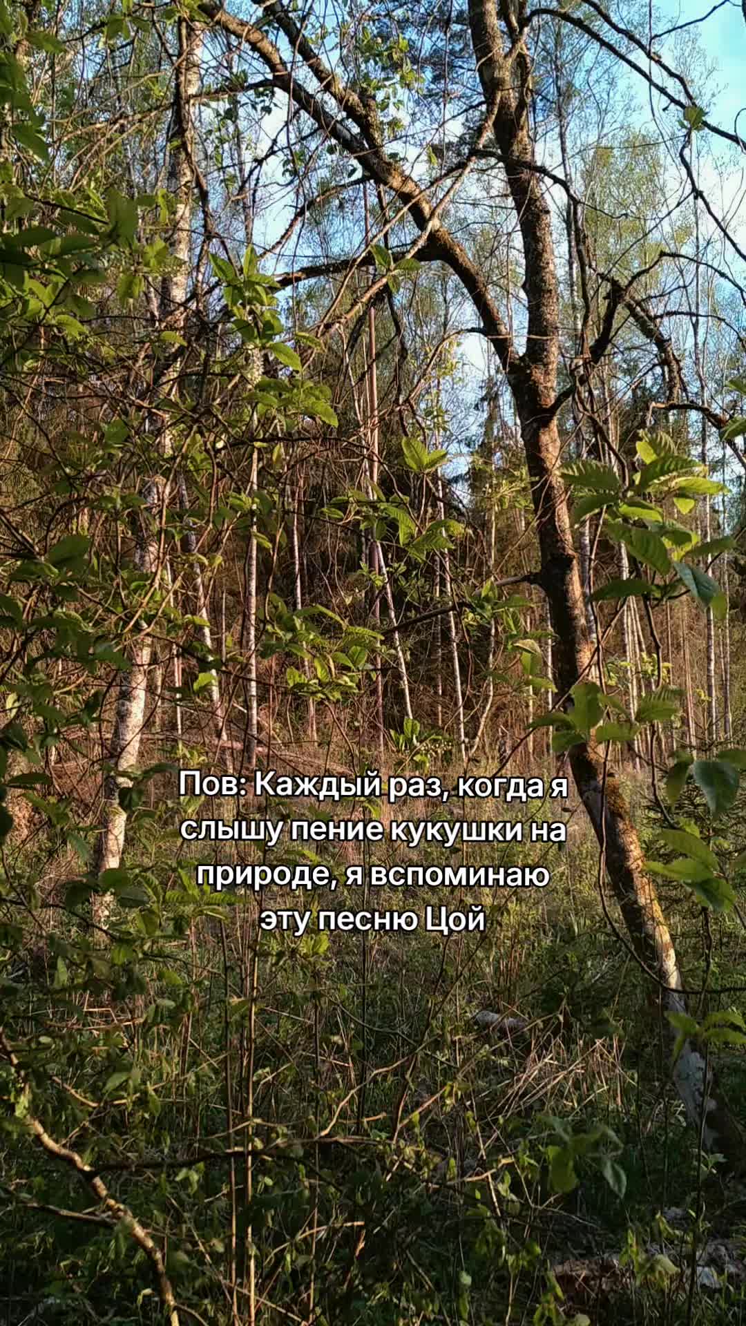 @M.Tsoi.fp