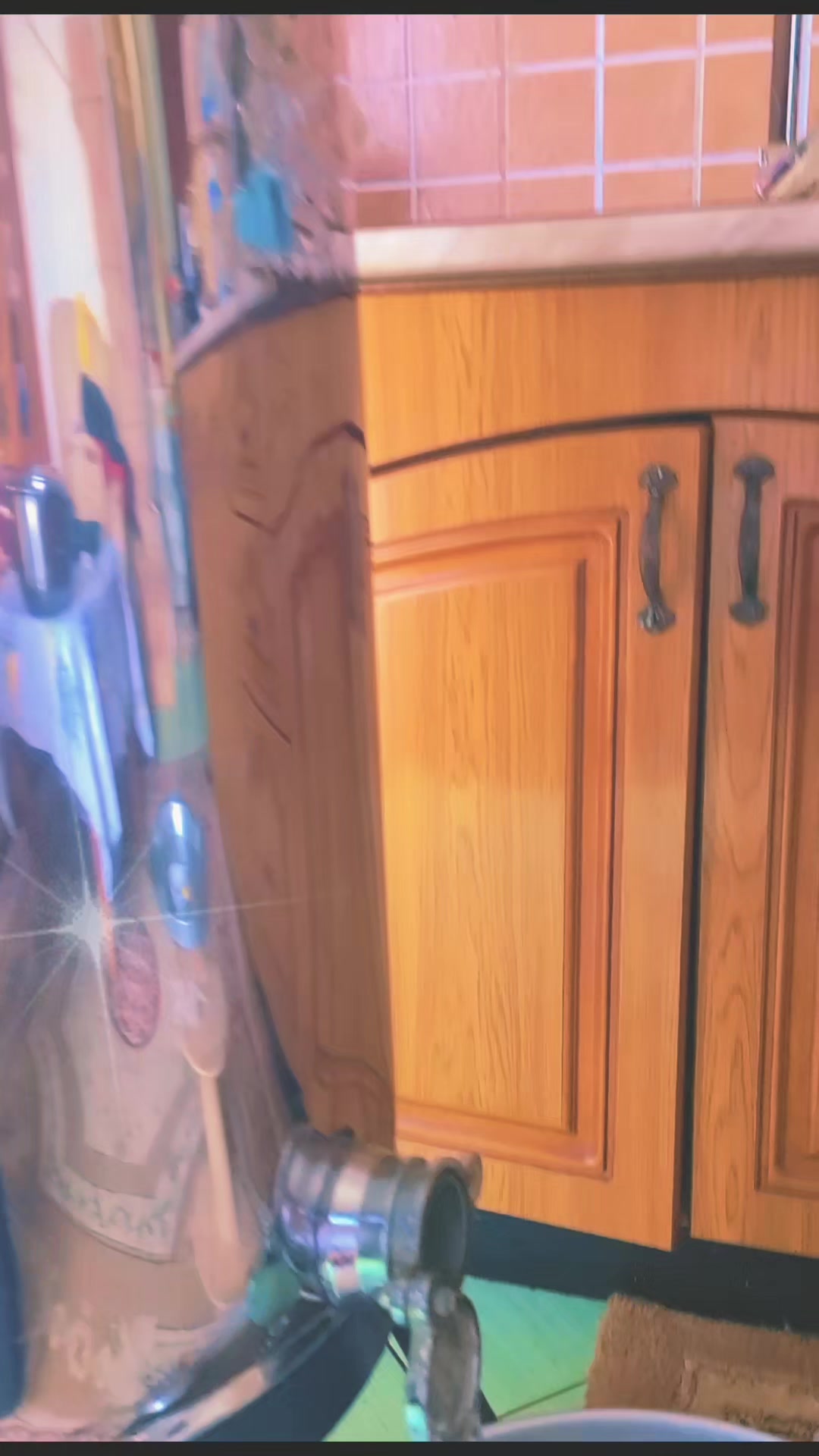 @veramarashi802