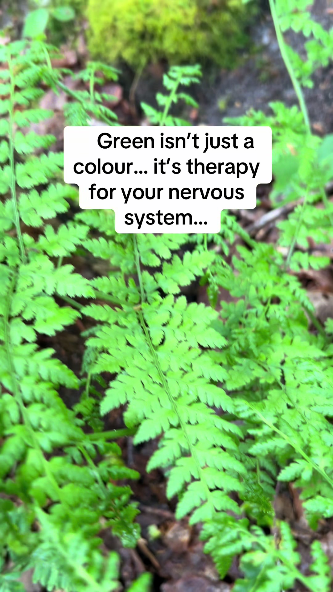 @healingheartsholistics
