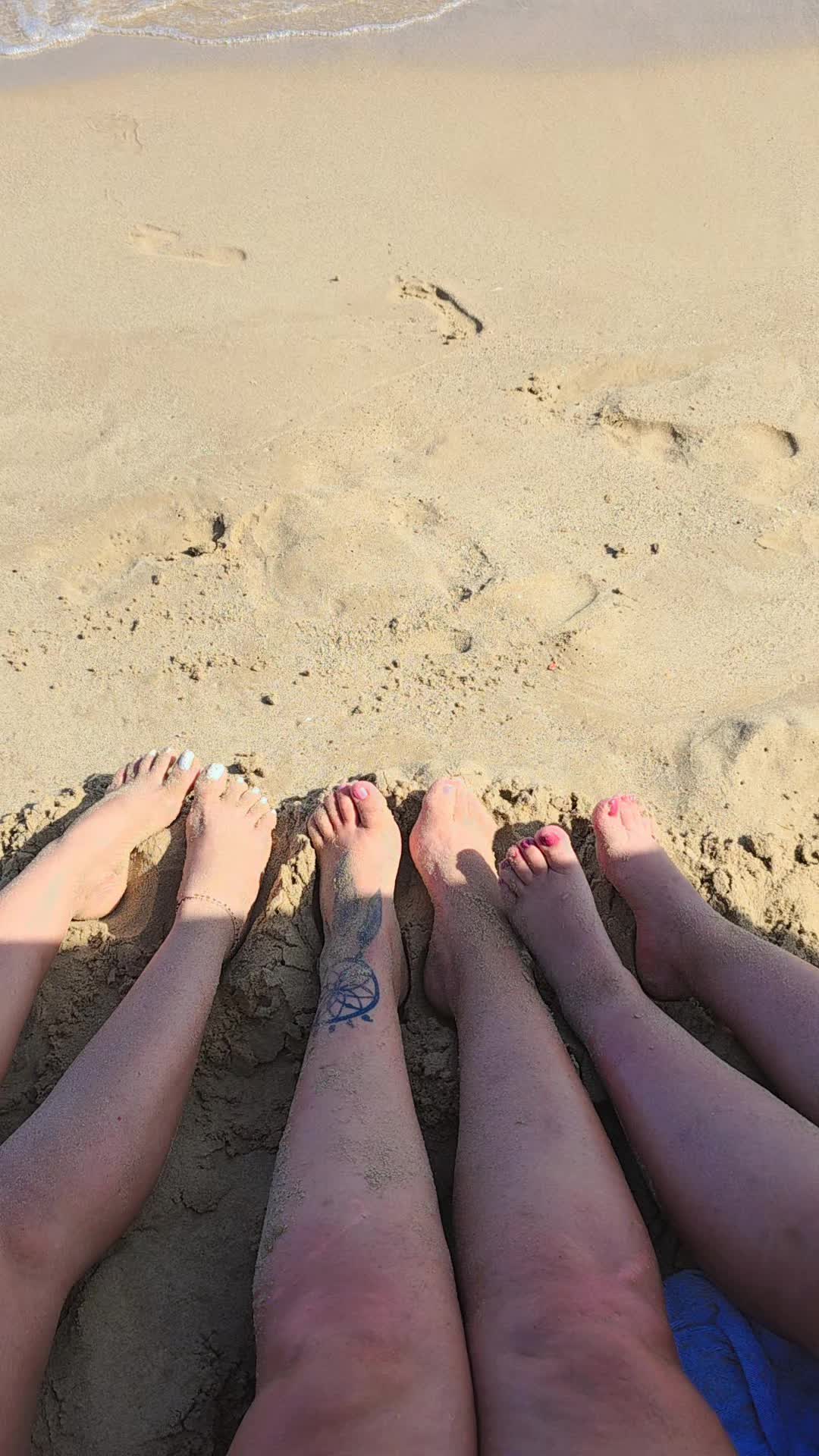 @flores karolina 🦉🐘 🌵