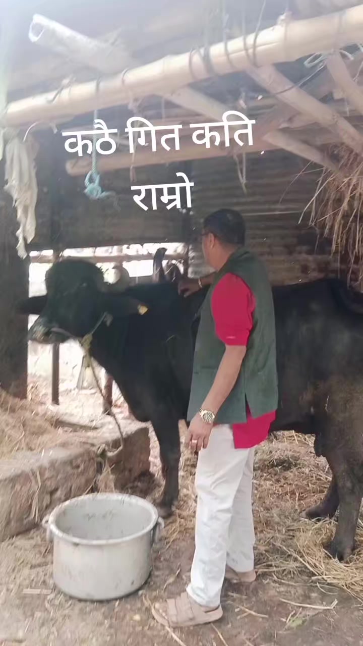 @Harilal Jaishi