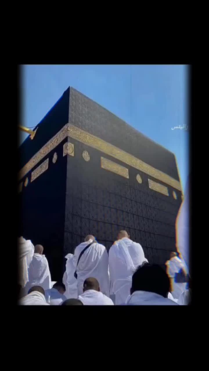 @amaan1949