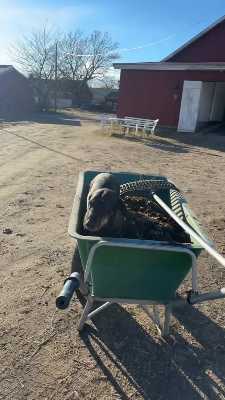 @Noemy🇳🇴🇳🇴