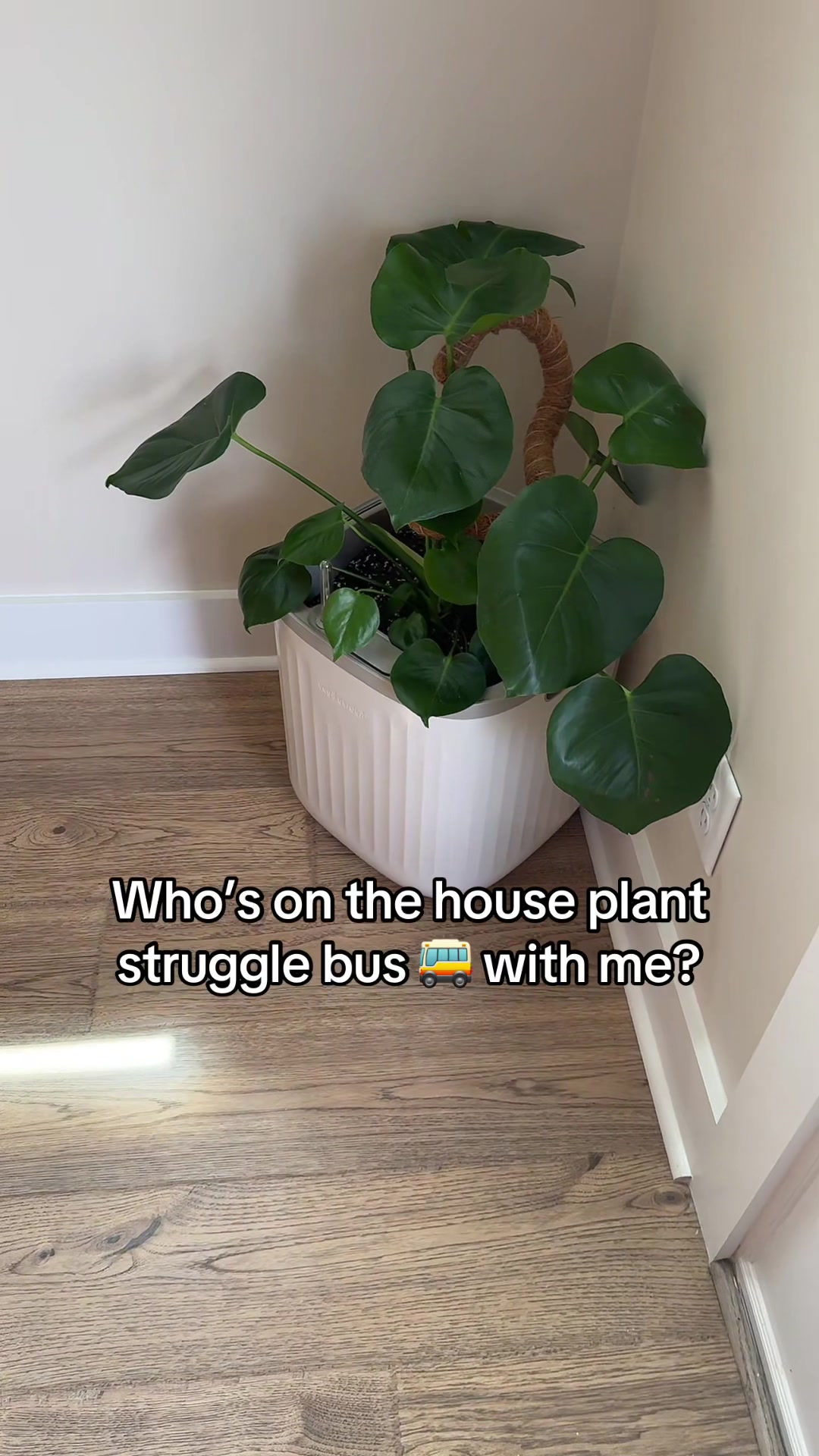 @Rachel Warren 🌱👋🏻