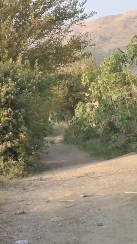 @Kohat_ka_dil