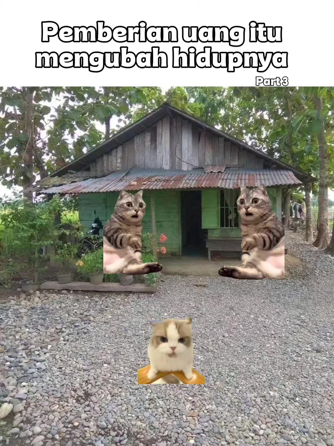 @qlchings