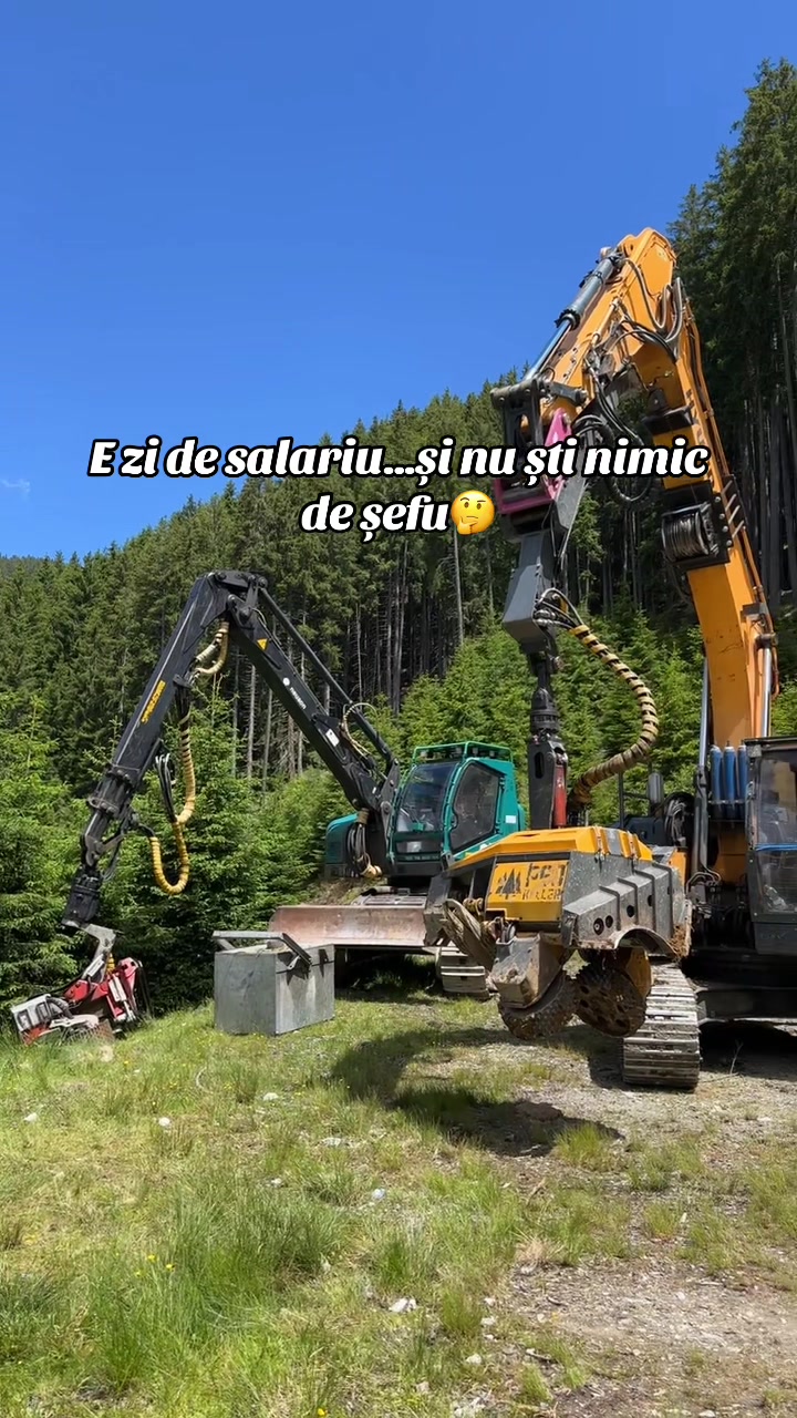 @Nicu Văsieș