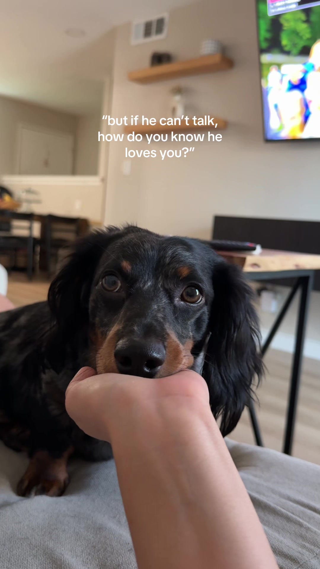 @dennisxrussell