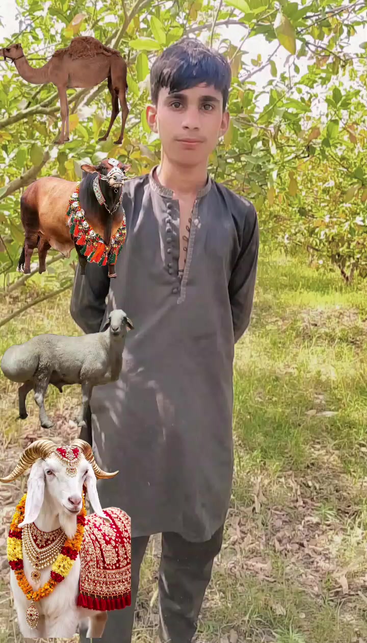 @Moneer Ahmed