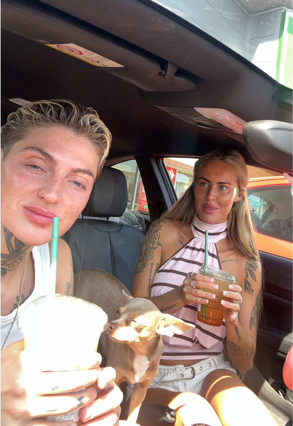 @abbeymyers🌈