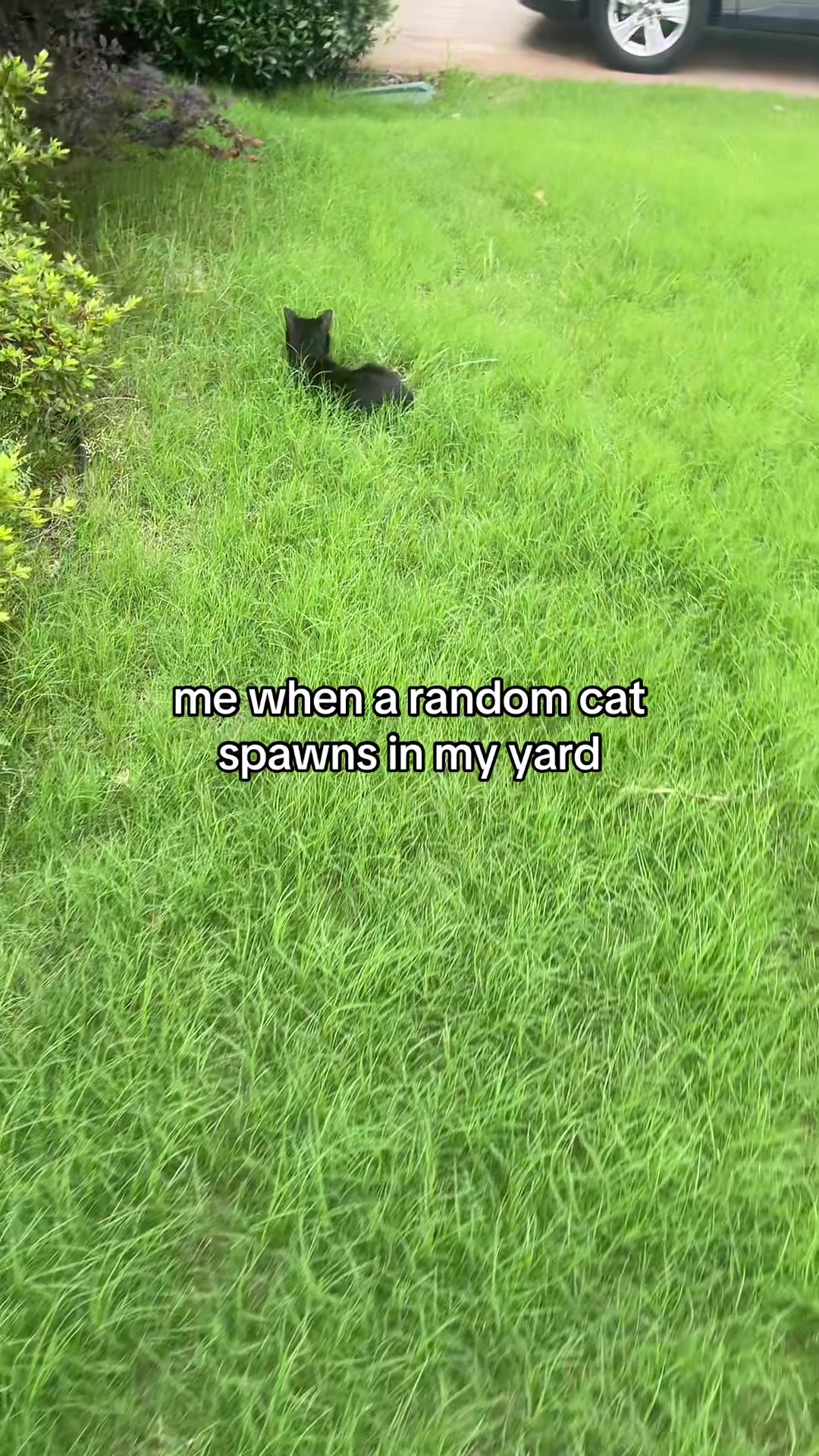 @mizaandoesthings