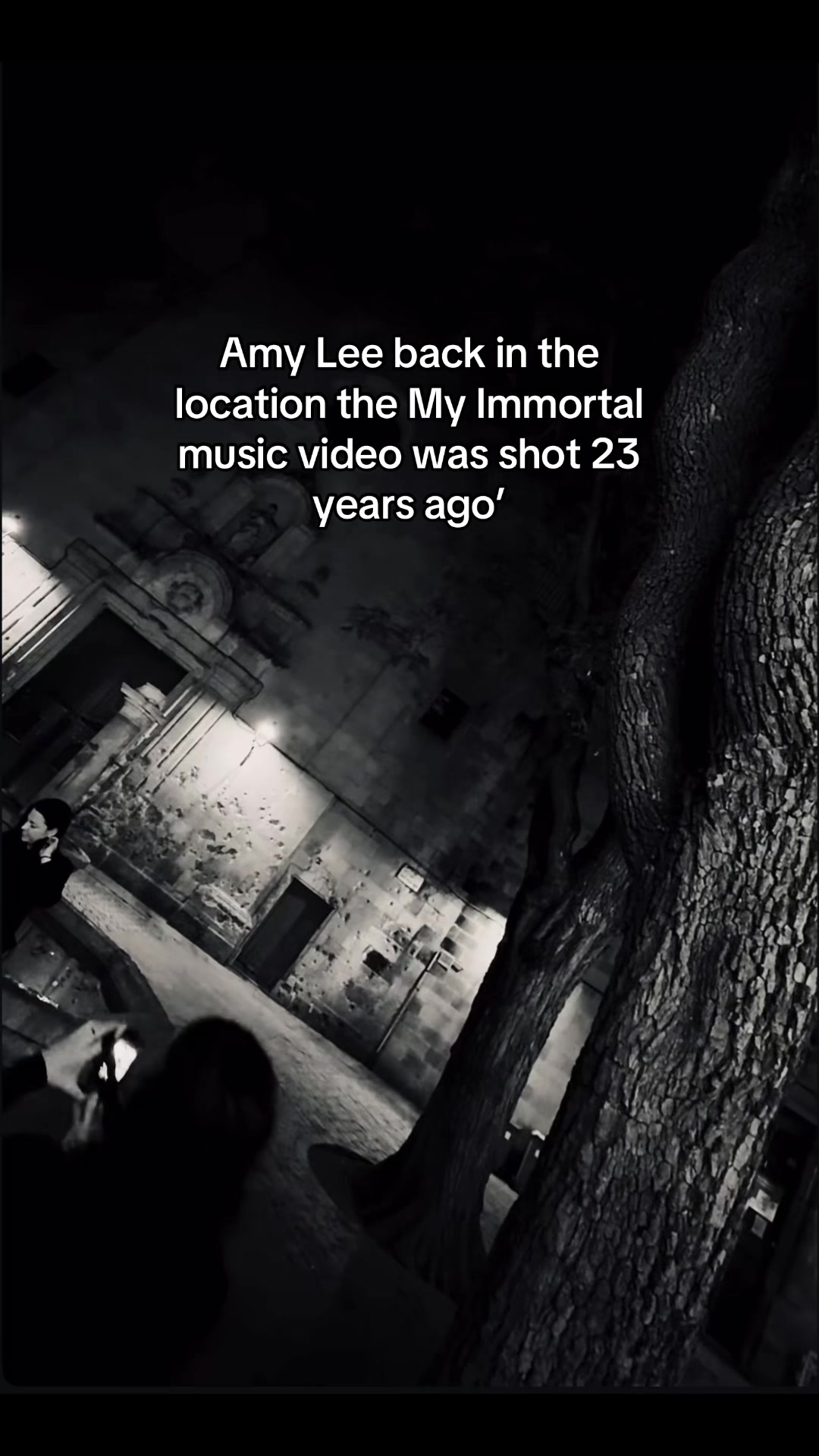 @Amy Lee Universe &bull; Fan Page