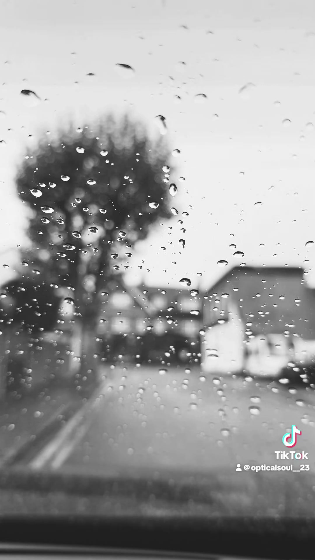 @Opticalsoul-23