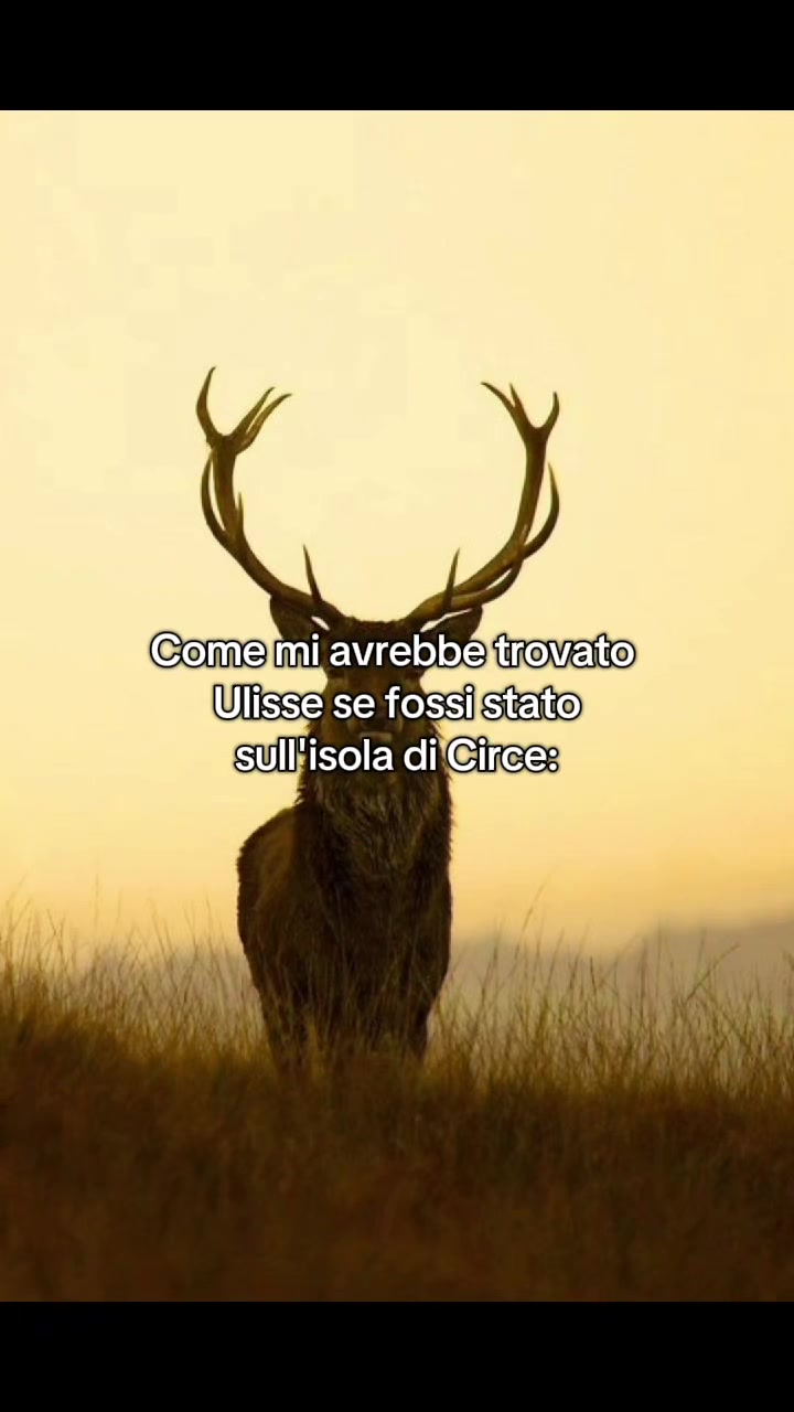 @Francio