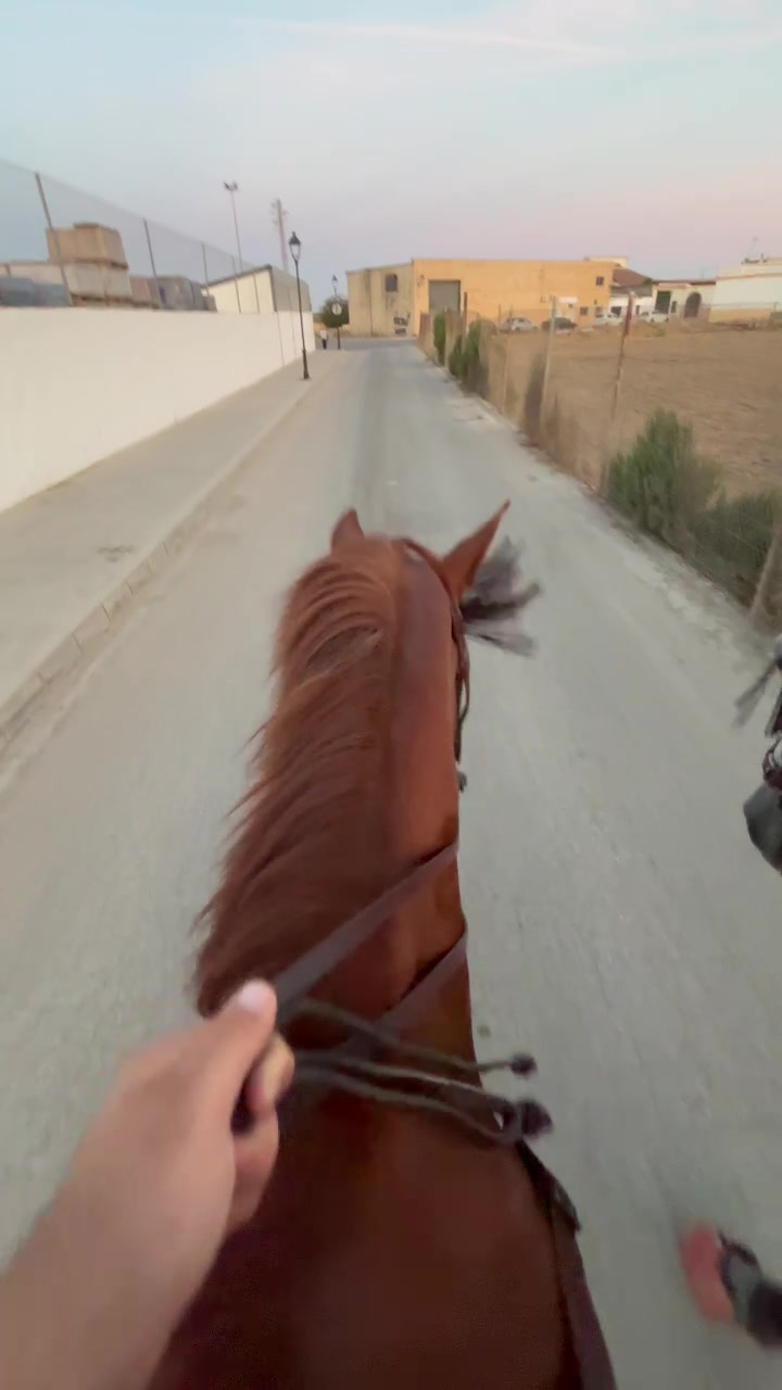 @Pepe Serrato